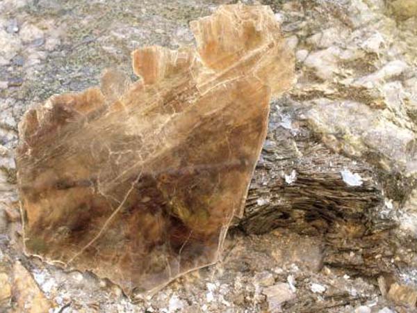 云母含鐵愈高時，顏色愈深，同時多色性和吸收性增強